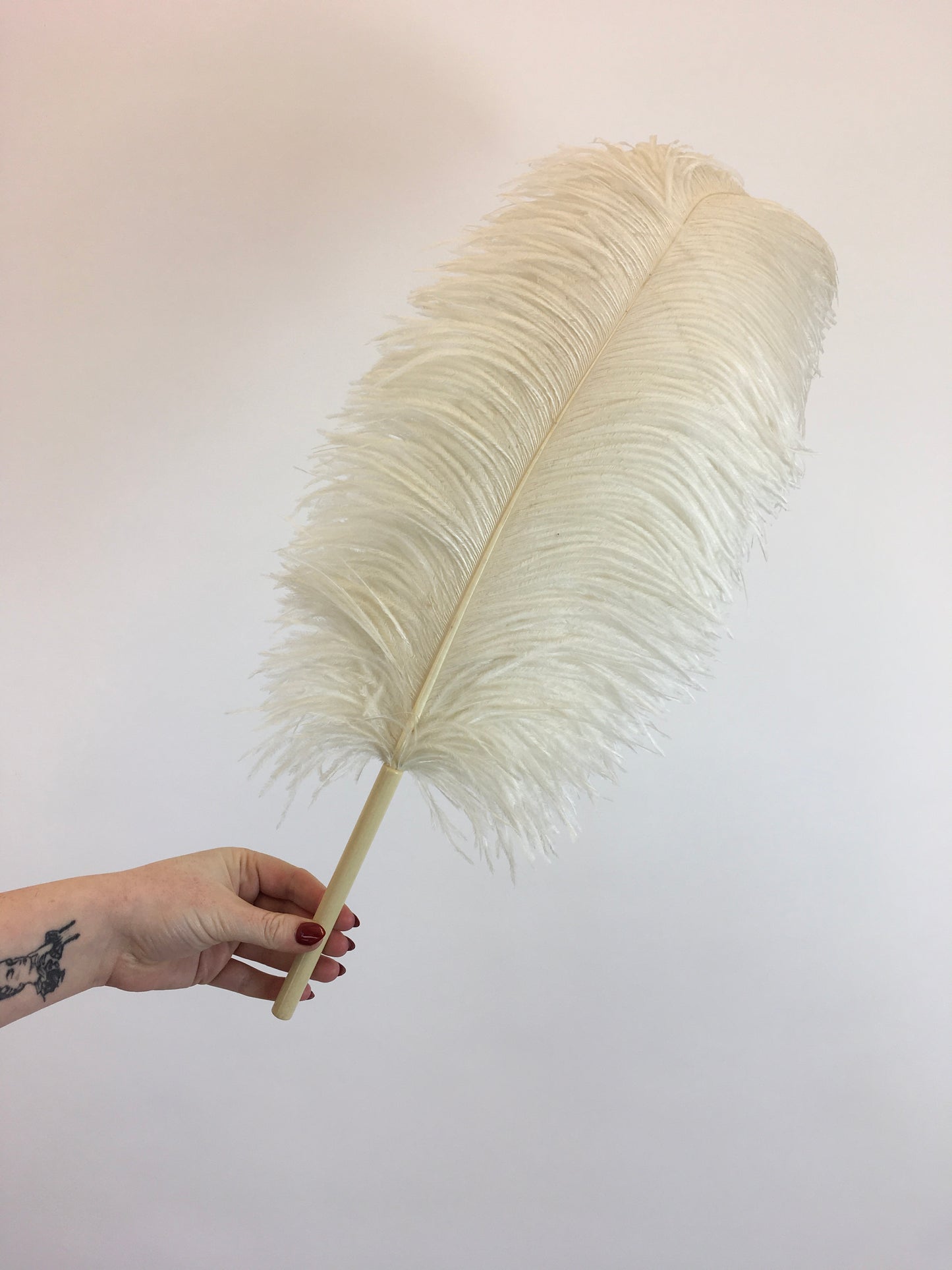 Original 1920's Sublime Single Ostrich Feather Plume - With Cream Celluloid Handle