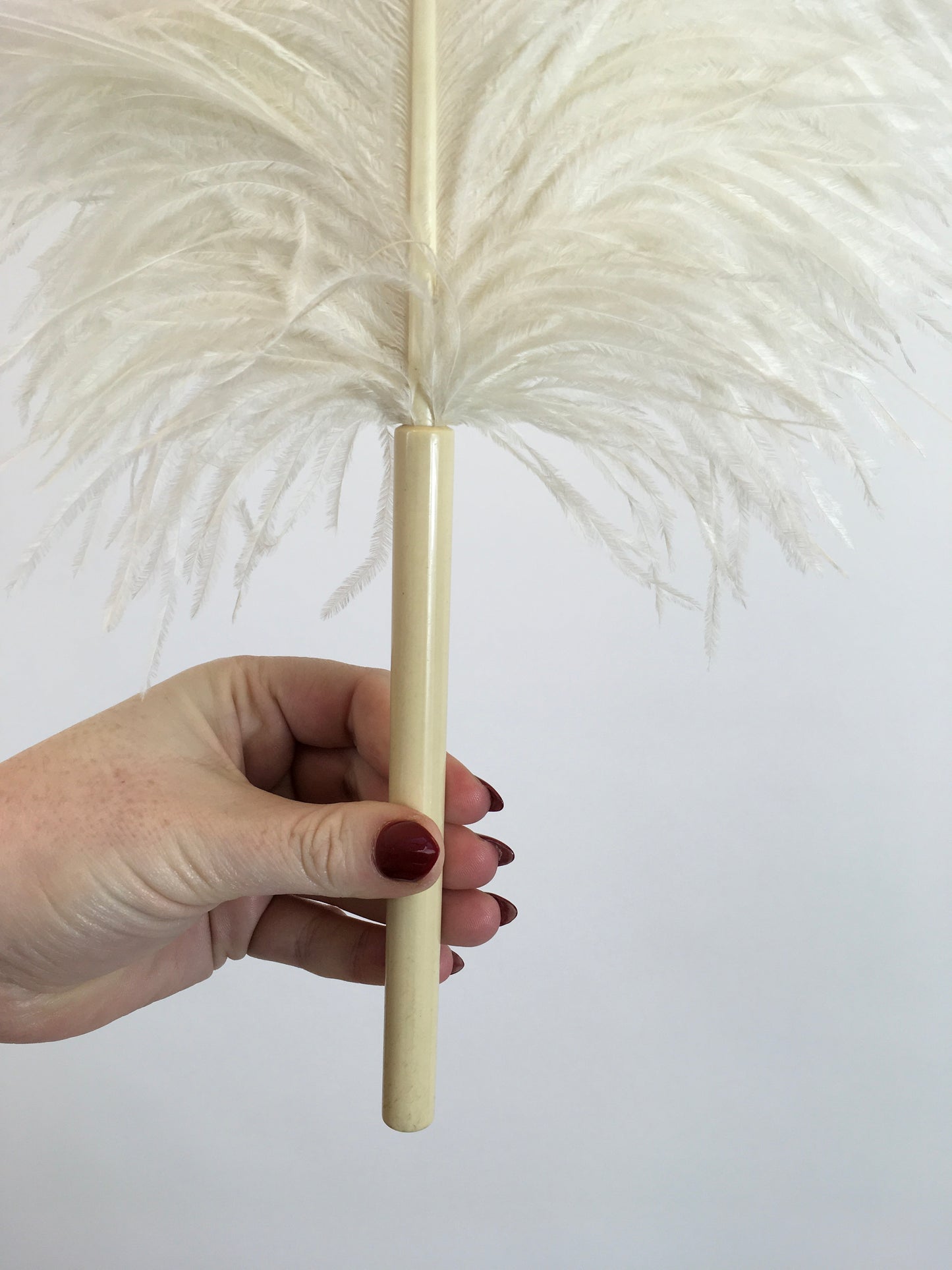Original 1920's Sublime Single Ostrich Feather Plume - With Cream Celluloid Handle
