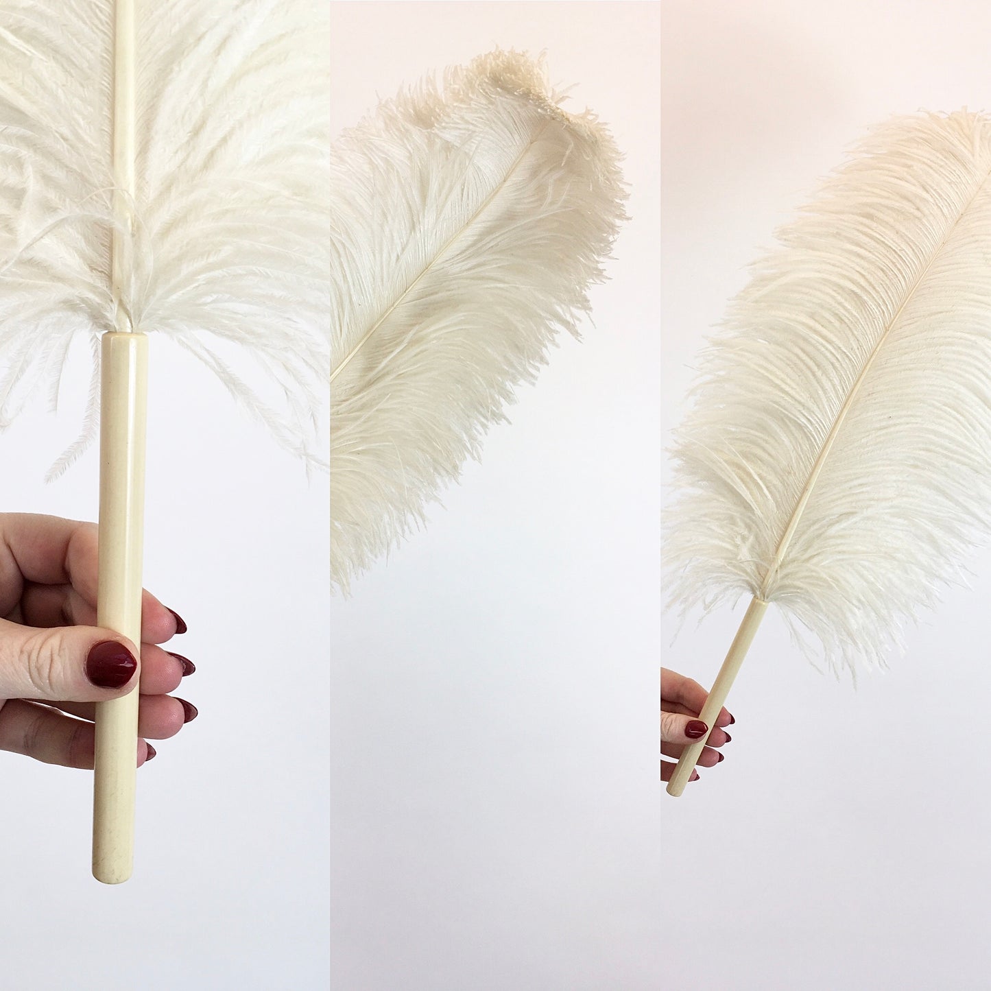 Original 1920's Sublime Single Ostrich Feather Plume - With Cream Celluloid Handle